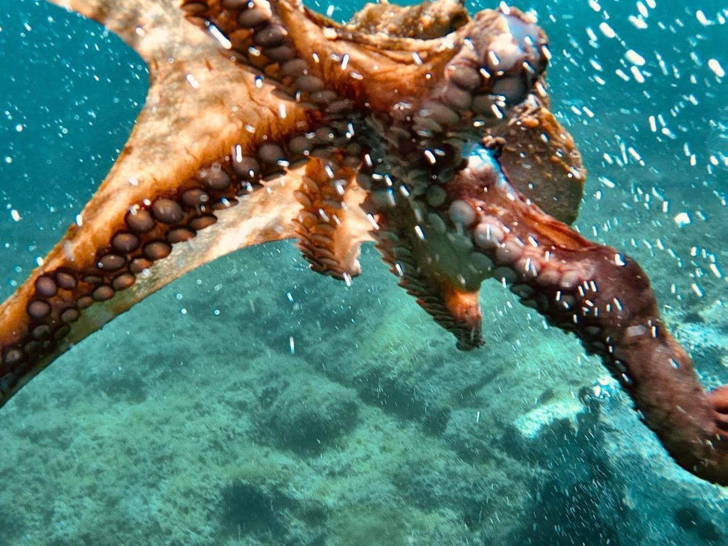 Mena Me - Casa Vacanza - Salento Parabita Dış mekan fotoğraf