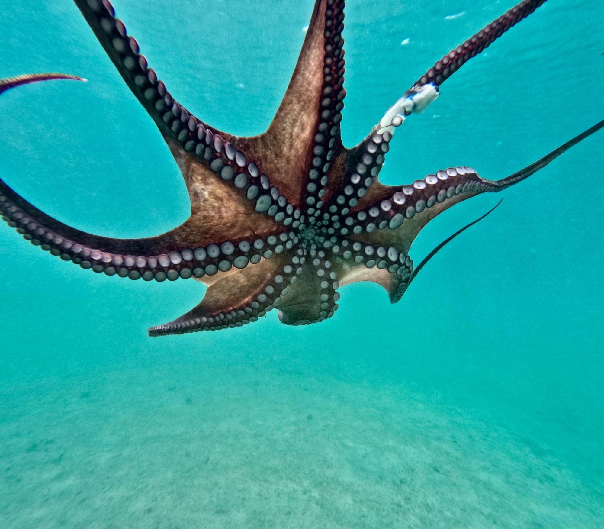 Mena Me - Casa Vacanza - Salento Parabita Dış mekan fotoğraf