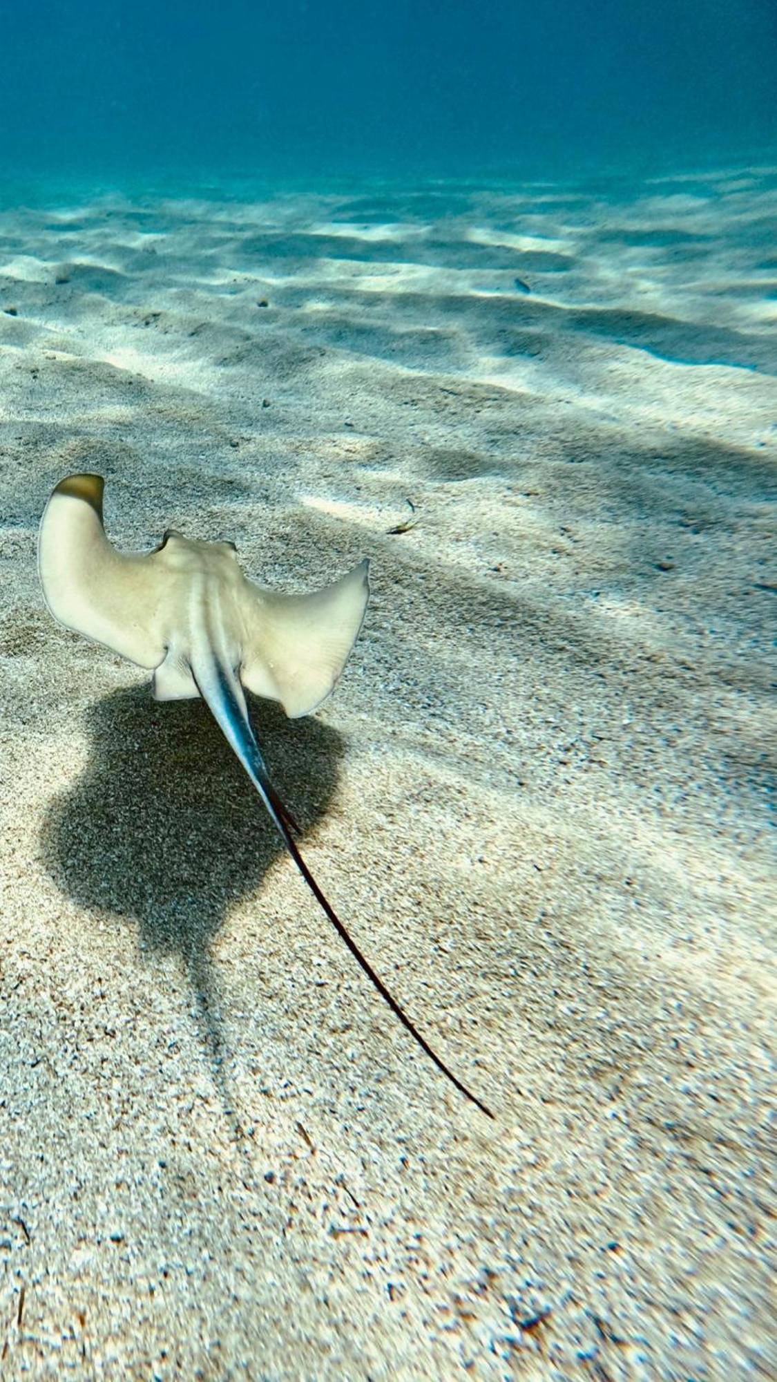 Mena Me - Casa Vacanza - Salento Parabita Dış mekan fotoğraf